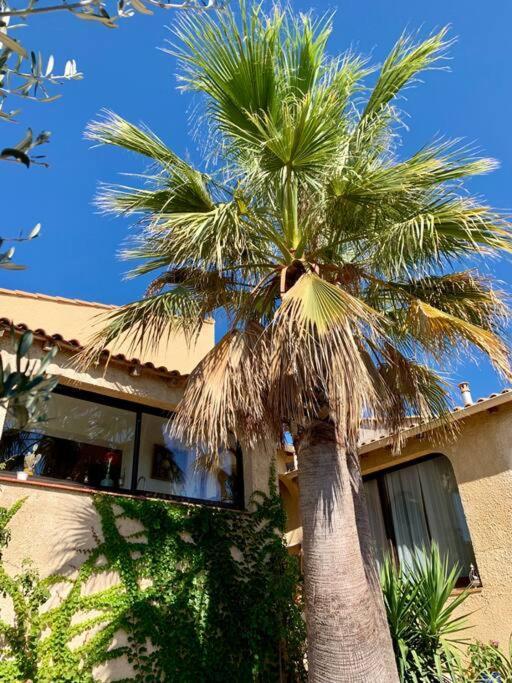 Charmante Villa Avec Une Ame. Pignan Exteriör bild