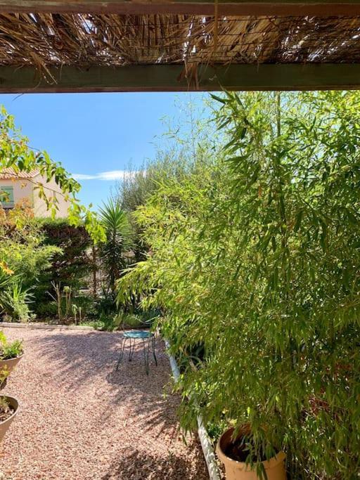 Charmante Villa Avec Une Ame. Pignan Exteriör bild